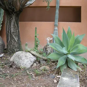 Via Dei Gerani Bed & Breakfast Solanas (Cagliari)